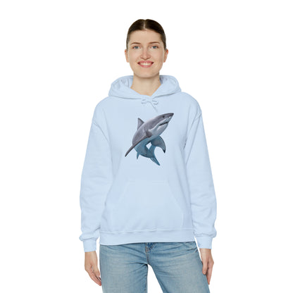 Shark Art Illustration Hoodie