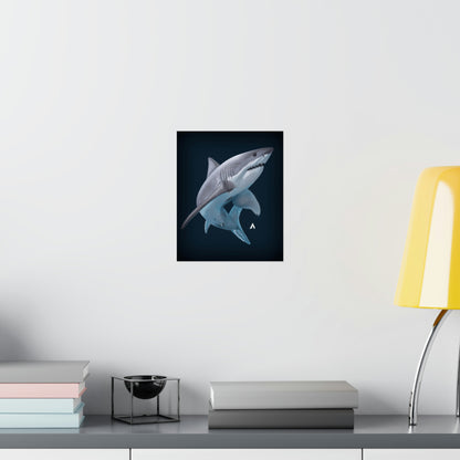 Shark Art illustration Poster